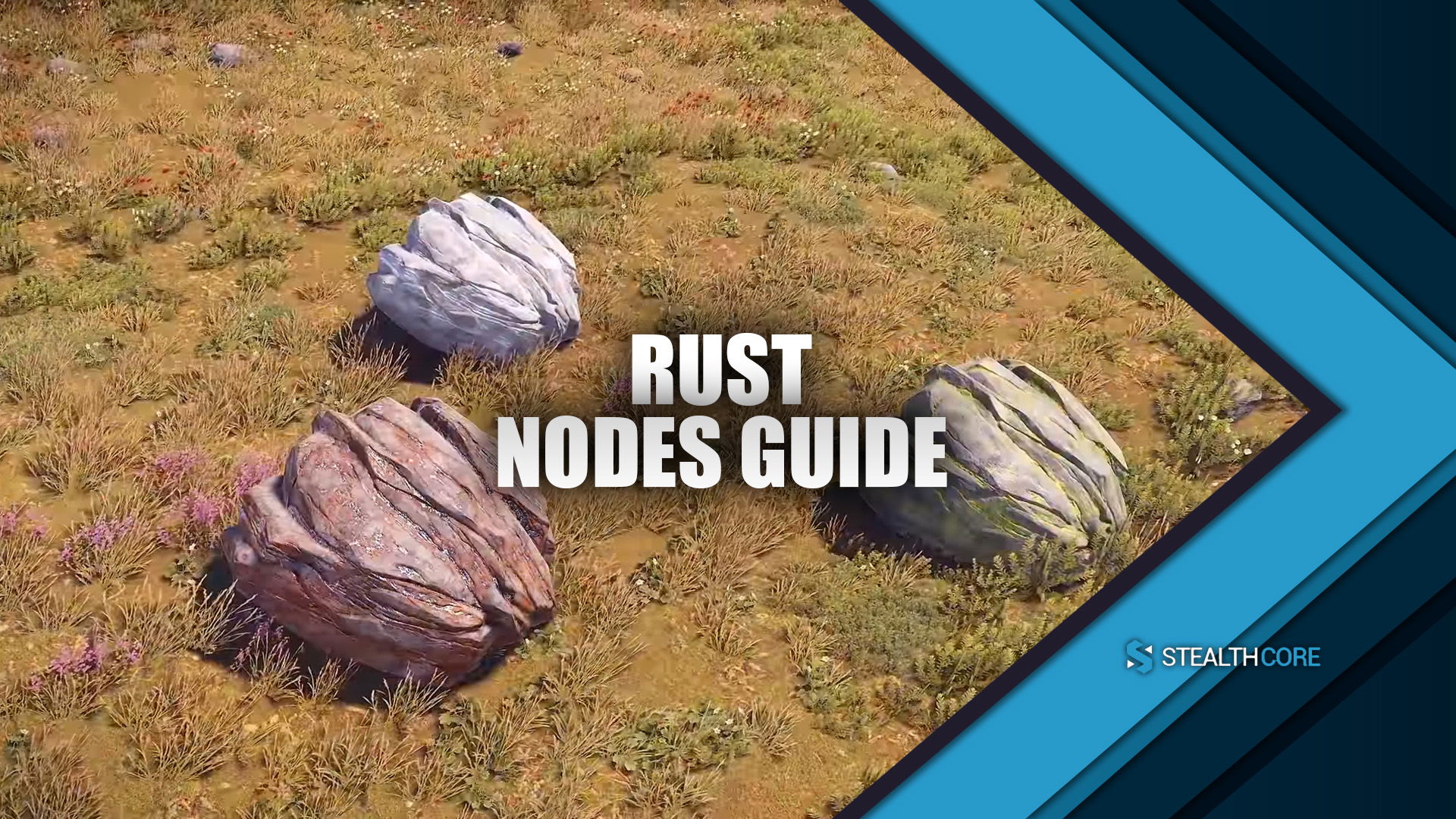 rust nodes guide