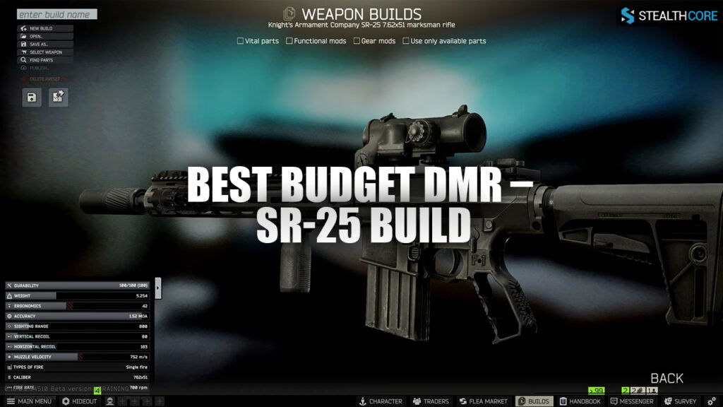  Best Budget DMR – SR-25 