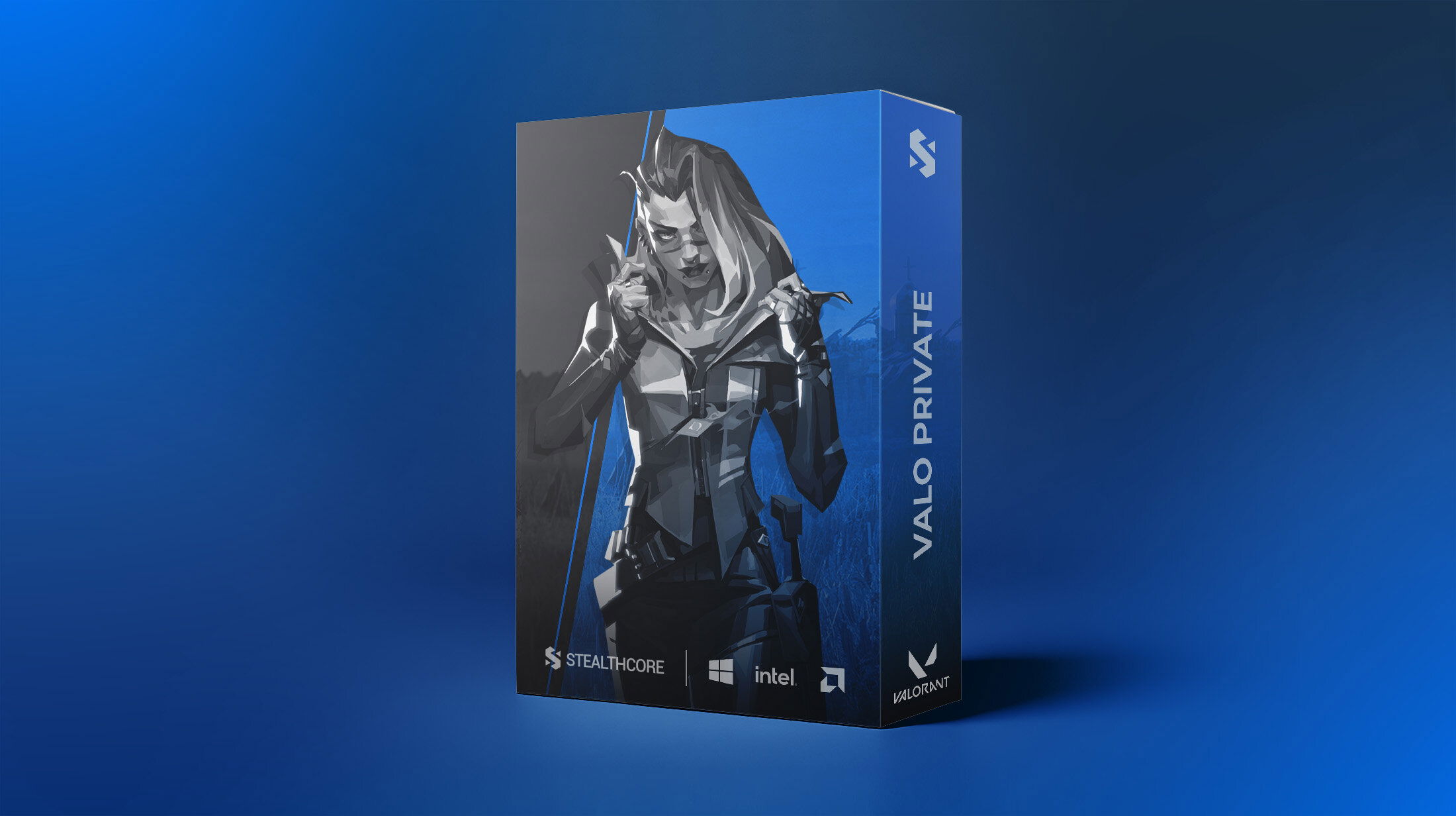 More information about "Valorant (Limited)"